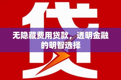 康乐无隐藏费用贷款，透明金融的明智选择
