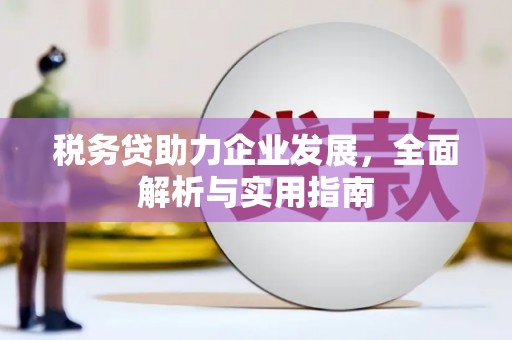 康乐税务贷助力企业发展，全面解析与实用指南