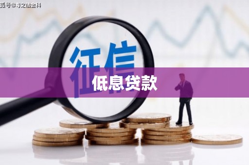 康乐低息贷款