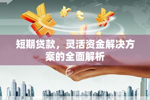 康乐短期贷款，灵活资金解决方案的全面解析