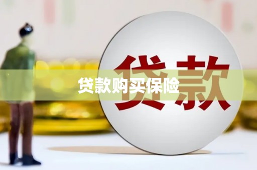 康乐贷款购买保险