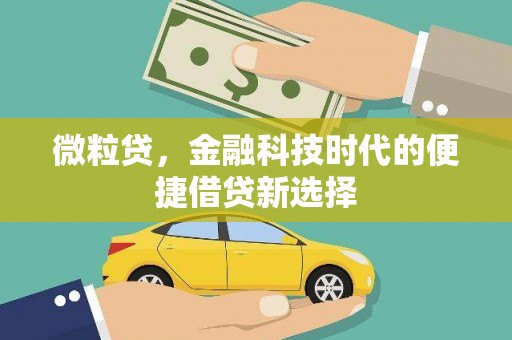 康乐微粒贷，金融科技时代的便捷借贷新选择