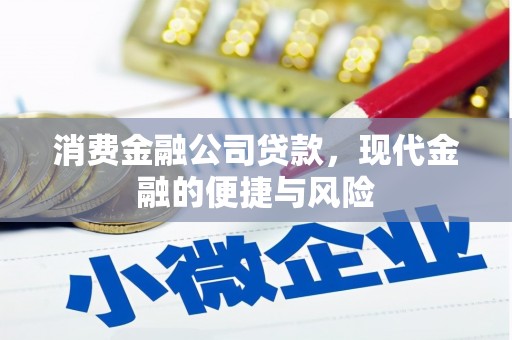 康乐消费金融公司贷款，现代金融的便捷与风险