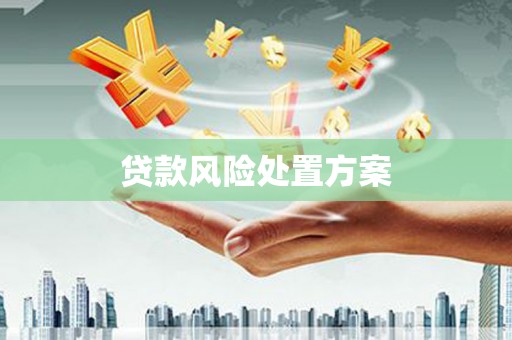 康乐贷款风险处置方案