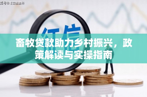 康乐畜牧贷款助力乡村振兴，政策解读与实操指南