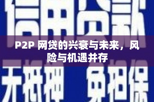 康乐P2P 网贷的兴衰与未来，风险与机遇并存