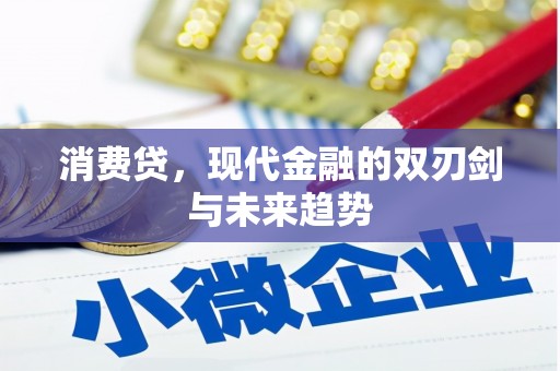 康乐消费贷，现代金融的双刃剑与未来趋势