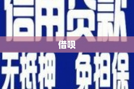 康乐借呗