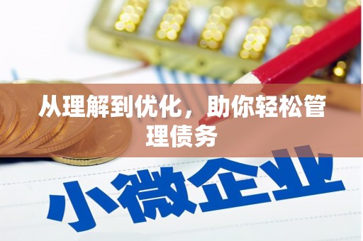康乐从理解到优化，助你轻松管理债务
