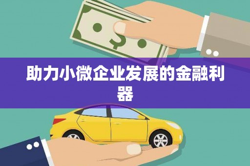 康乐助力小微企业发展的金融利器
